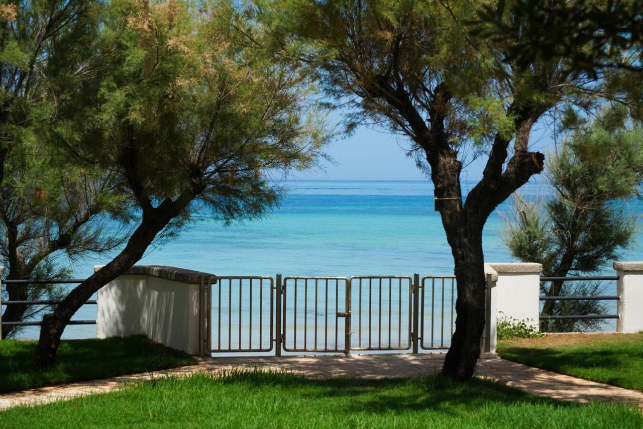 Aurelia Sea View Bed & Breakfast Торе Кане Екстериор снимка
