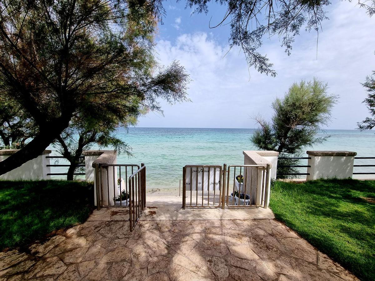 Aurelia Sea View Bed & Breakfast Торе Кане Екстериор снимка
